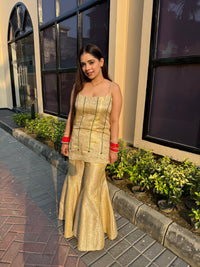 Zaraya banarsi handwork dress
