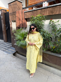 Zarina schiffli pintex suit
