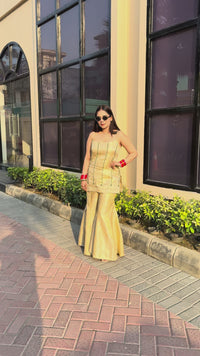 Zaraya banarsi handwork dress